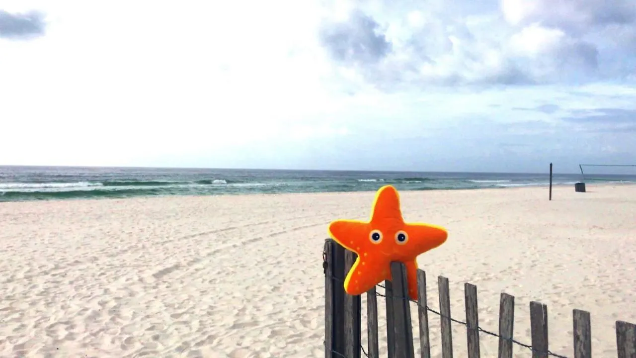 Semesterbostad Dunes Of Panama E1703 'After-Dune Delight' Panama City Beach USA